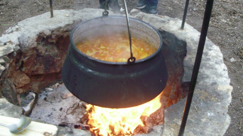 2011 05 02 Vadaspark 079.jpg